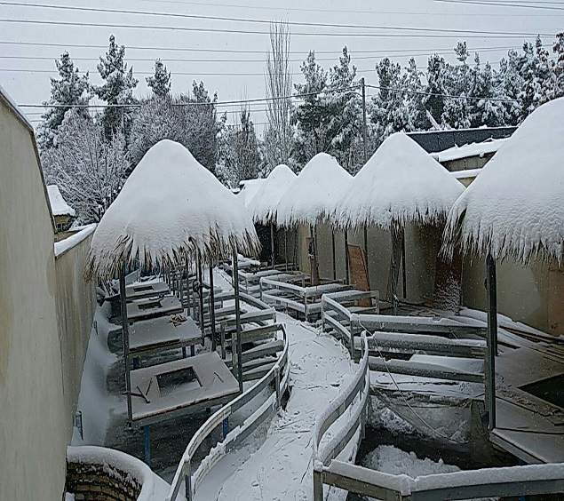 رستوران ها | دومان توکان