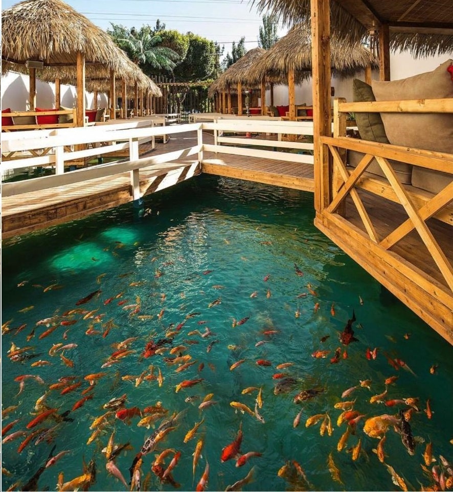 رستوران ها | دومان توکان